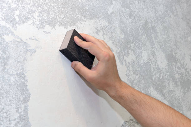Best Residential Mold Inspection & Testing  in Terre Haute, IN