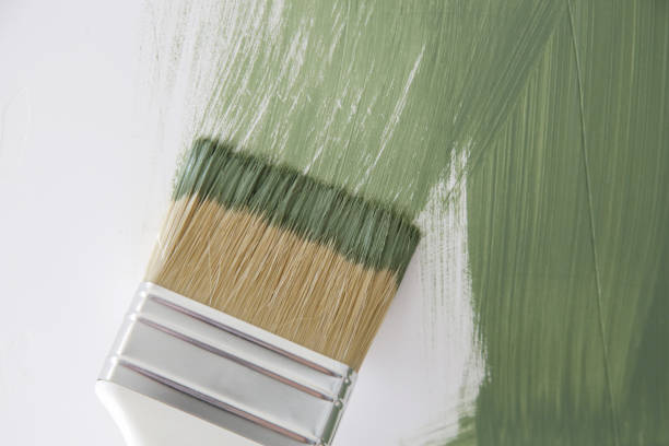 Best Commercial Mold Inspection  in Terre Haute, IN