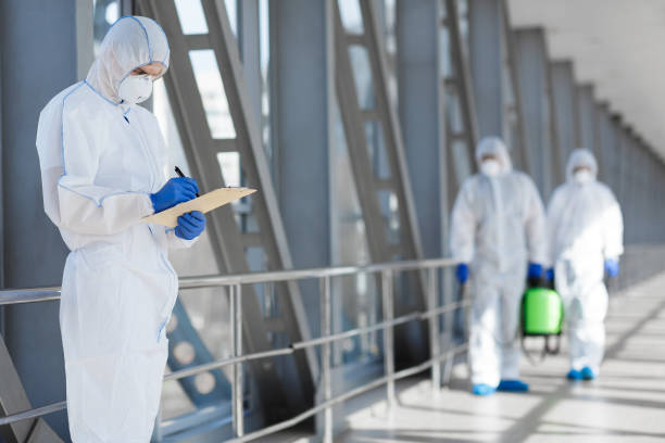 Best Mold-Related Health Consultation  in Terre Haute, IN