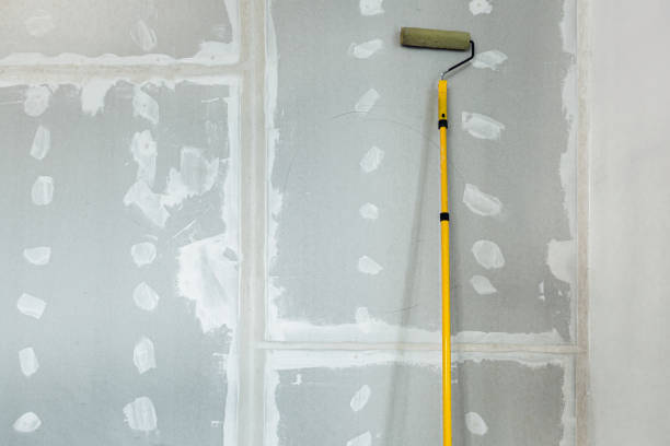 Best Post-Construction Mold Inspection  in Terre Haute, IN