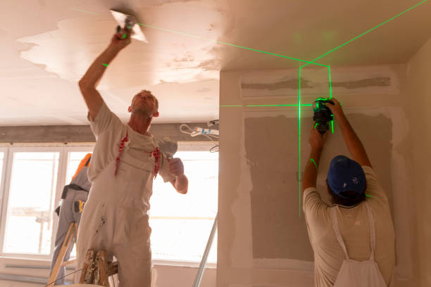 Best Real Estate Mold Inspection  in Terre Haute, IN